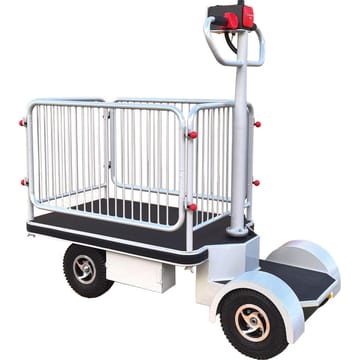 Plateforme autoportée motorisée